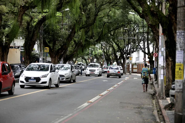 Straat met veel bomen in salvador — Stockfoto