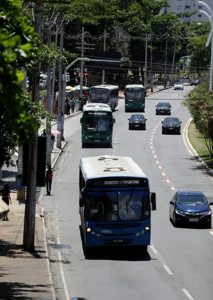 Street with many trees in salvador — Stock Photo, Image