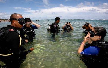 Barra grande 'deki doğal cennet.