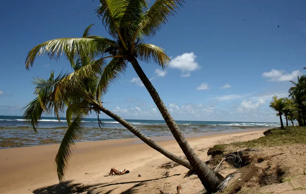 Paraíso natural em barra grande — Fotografia de Stock