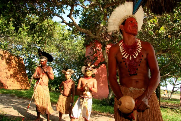 Indischer pataxos von Bahia — Stockfoto