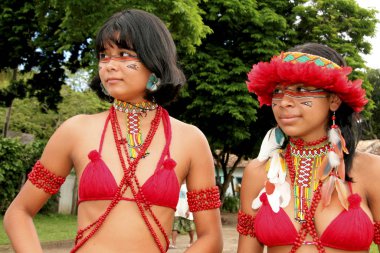 Jackfruit köyündeki Hint pataksları