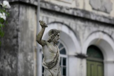 dom pedro kabuk açıcı