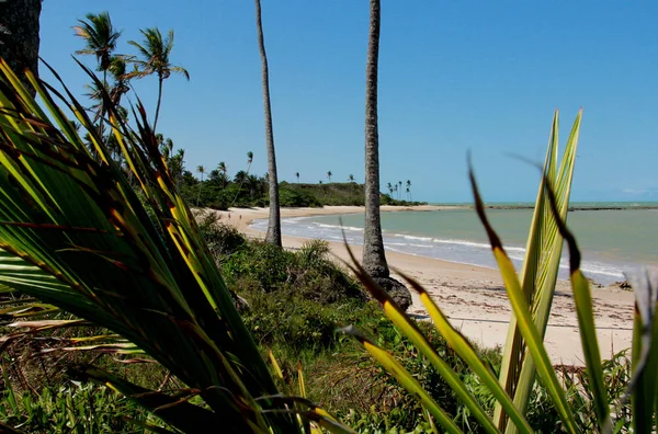 Strand in prado, südbahia — Stockfoto