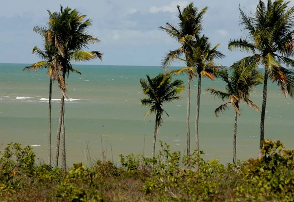 Strand in Prado, Zuid-Bahia — Stockfoto