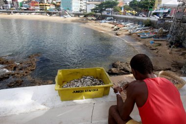 Festival döneminden sonra plaj temizliği