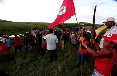 Bahia 'daki okaliptüs tarlasını istila ediyorlar.