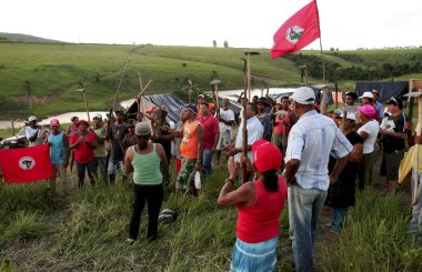 Bahia 'daki okaliptüs tarlasını istila ediyorlar.
