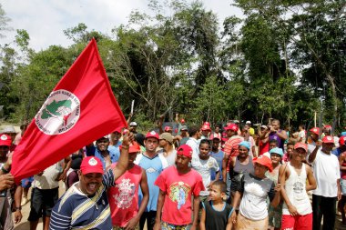 Bahia 'daki okaliptüs tarlasını istila ediyorlar.