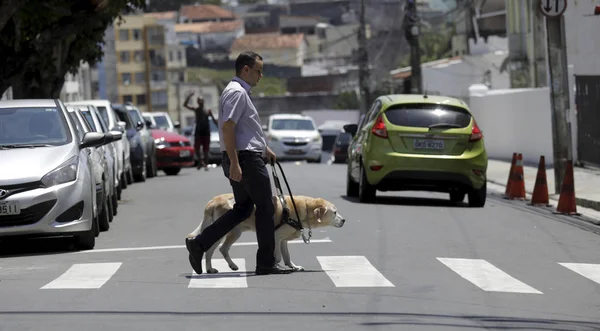 Ciego usa perro guía para locomoción en salvador — Foto de Stock