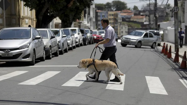 Ciego usa perro guía para locomoción en salvador — Foto de Stock