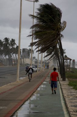 Bahia 'ya yağmur mevsiminin gelişi