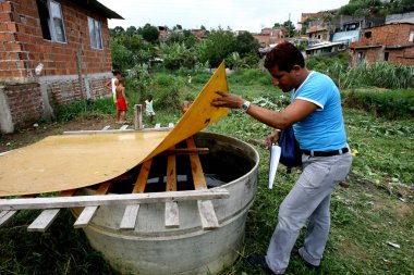 Aedes aegypti sivrisineğiyle savaşıyor.