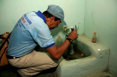 Aedes aegypti sivrisineğiyle savaşıyor.