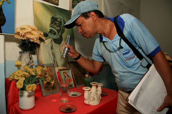 fighting the aedes aegypti mosquito