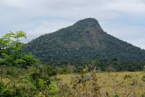 Monte pascoal in porto seguro — стоковое фото