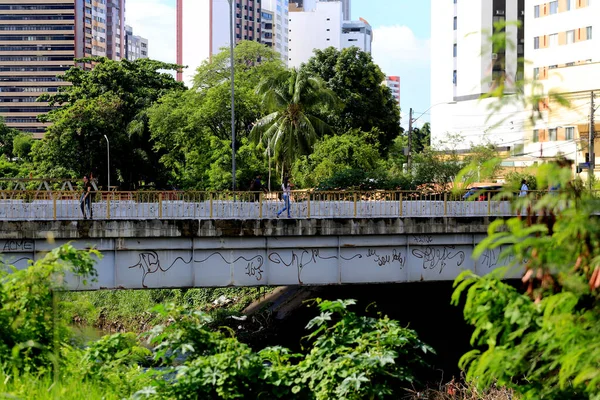 Salvador Bahia Brazil Απριλίου 2019 Γέφυρα Φαίνεται Σχέδιο Βανδαλισμού Στην — Φωτογραφία Αρχείου