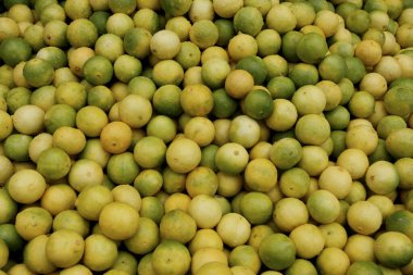 Salvador, Bahia / Brezilya - 18 Nisan 2013: Salvador şehrindeki Feira de Sao Joaquim 'de satılık tavuklar. 