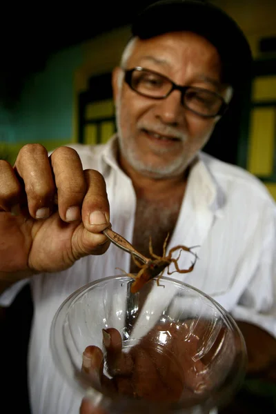 Itabuna Bahia Brasilien Juni 2011 Mann Hält Skorpion Insekt Der — Stockfoto
