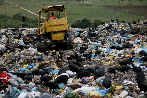 Porto Seguro Bahia Brazil Maggio 2008 Vede Trattore Gettare Spazzatura — Foto Stock