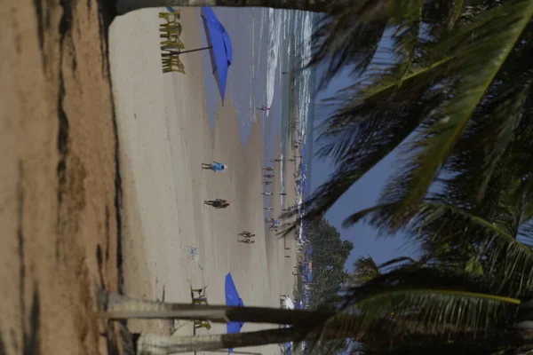 Salvador Bahia Brazil 2019年10月12日 弗拉门戈海滩视图 一个受海上石油泄漏影响的地方 地方字幕 — 图库照片