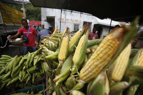 2017 Salvador Bahia Brazil June 2019 Green Corn Sale Feira — 스톡 사진