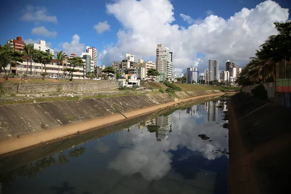 Salvador Bahia Brazil 2018年4月9日 雕塑出现在萨尔瓦多的Costa Azul公园 地方字幕 — 图库照片