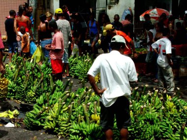 Salvador, Bahia / Brezilya - 11 Eylül 2005: Muzlar Salvador 'da serbest bir pazarda satılığa çıktı.