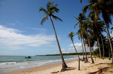 Porto seguro, Bahia / Brezilya - 27 Şubat 2010: Porto Seguro 'nun Trancoso ilçesindeki Nativos Sahili