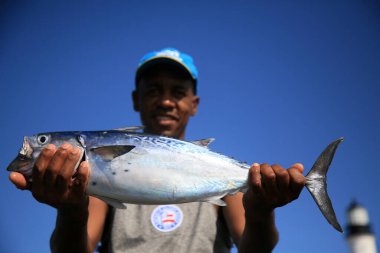 Salvador, Bahia / Brezilya - 6 Aralık 2019: Artisanal balıkçı Salvador 'daki Farol da Barra Sahili' nde yakalanan balıkları gösteriyor. * * * Yerel altyazı * *