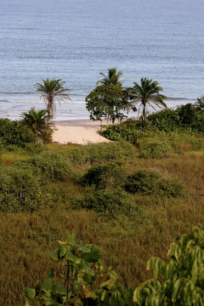 Porto Seguro Bahia Brazil May 2010 Aerial View Nativos Beach — 图库照片