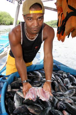 cairu, bahia / brerazil - 20 Kasım 2007: Cairu şehrinde tutsak tilapia balıkçılığı sırasında insan görülmektedir