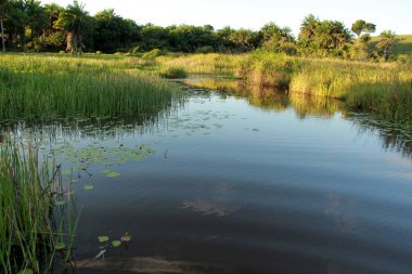 Conde, Bahia / Brezilya - 7 Eylül 2012: Conde şehrindeki Itapicuru Nehri yatağının manzarası
