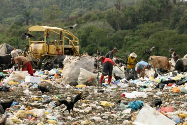 itabuna, bahia / brrazil - 5 Haziran 2012: İnsanlar Itabuna şehrindeki geri dönüşüm malzemelerini toplamak için çöpleri karıştırırken görülüyor.