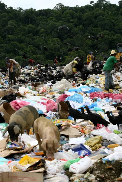 Itabuna Bahia Brasil Fevereiro 2012 Pessoas Voltando Pelo Lixo Para — Fotografia de Stock