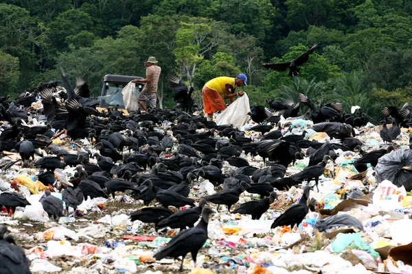 Itabuna Bahia Brasil Febrero 2012 Gente Revolviendo Basura Para Recoger — Foto de Stock