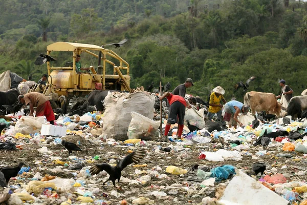 Itabuna Bahia Brazil June 2012年6月5日 人们在伊塔布纳市的卫生垃圾填埋场翻阅垃圾 收集回收材料 — 图库照片