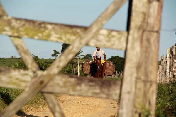 Conde Bahia Brazil September 2012 Farm Gate Seen Rural Area — Stock Photo, Image