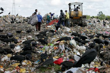 Eunapolis, Bahia / Brezilya - 29 Mart 2011: Eunapolis şehrindeki geri dönüşüm malzemelerini toplamak için çöpleri karıştıran insanlar görülüyor.