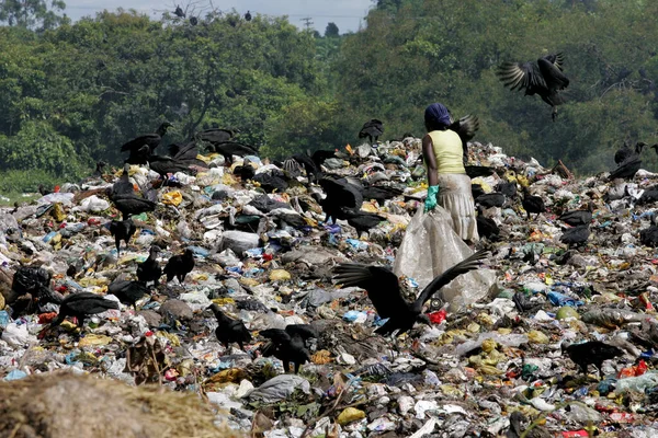 Eunapolis Bahia Brasil Marzo 2011 Gente Revolviendo Basura Para Recolectar — Foto de Stock