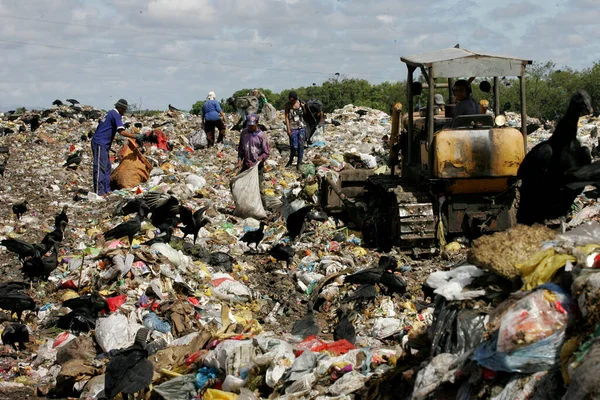 Eunapolis Bahia Brazil March 2011 People Seen Turning Garbage Collect — Stock Photo, Image