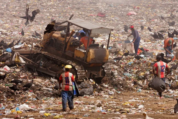 Eunapolis Bahia Brasilien September 2010 Auf Der Mülldeponie Der Stadt — Stockfoto