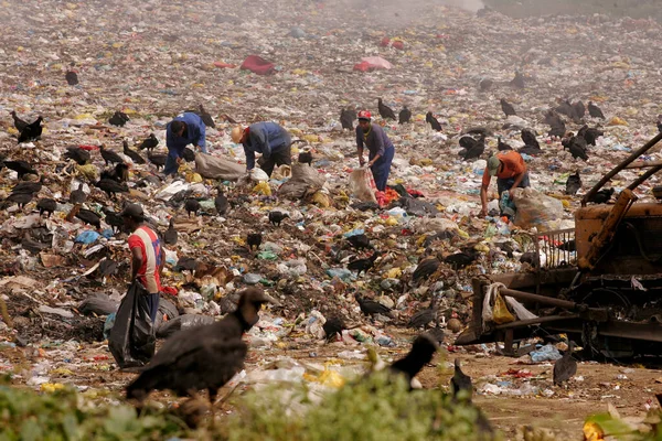 Eunapolis Bahia Brasil Septiembre 2010 Gente Revolviendo Basura Para Recolectar — Foto de Stock