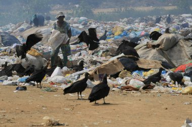 itamaraju, bahia / brrazil - 3 Eylül 2008: İnsanlar itamaraju şehrindeki geri dönüşüm malzemelerini toplamak için çöpleri karıştırıyor.