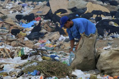 itamaraju, bahia / brrazil - 3 Eylül 2008: İnsanlar itamaraju şehrindeki geri dönüşüm malzemelerini toplamak için çöpleri karıştırıyor.