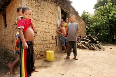 guaratinga, bahia / brrazil - 27 Aralık 2009: Kil ve ahşaptan yapılmış ev, portatif olarak Pau a pique olarak bilinir. Arazi Guaratinga belediyesinde görülmektedir.