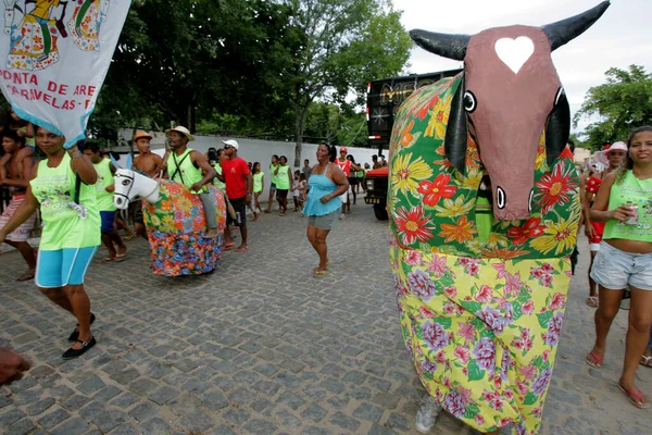 Caravelas Bahia Brasil Marzo 2011 Miembros Del Bloque Carnaval Burrinha — Foto de Stock