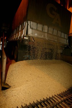 İlheus, Bahia / Brezilya - 19 Temmuz 2011: Ilheus limanına ihracat için yapılan soya fasulyesi çıkarma sırasında el arabası görüldü.