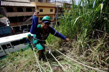 Salvador, Bahia / Brezilya - 16 Mayıs 2016: Gari, Salvador 'un Narandiba semtindeki yamaçta çalı kesmek için iplik tekniği kullanır. * * * Yerel altyazı * *