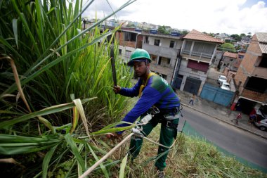 Salvador, Bahia / Brezilya - 16 Mayıs 2016: Gari, Salvador 'un Narandiba semtindeki yamaçta çalı kesmek için iplik tekniği kullanır. * * * Yerel altyazı * *
